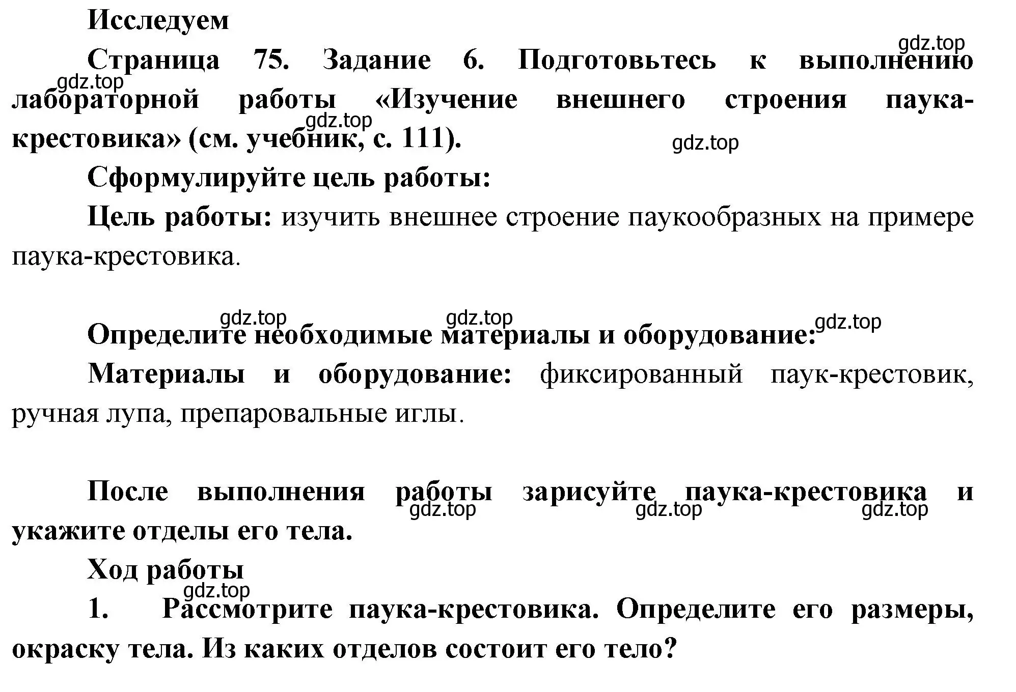 Решение номер 6 (страница 75) гдз по биологии 8 класс Суматохин, Пасечник, рабочая тетрадь