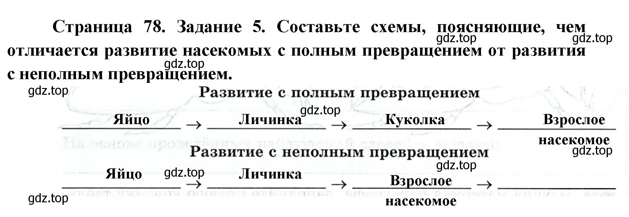 Решение номер 5 (страница 78) гдз по биологии 8 класс Суматохин, Пасечник, рабочая тетрадь