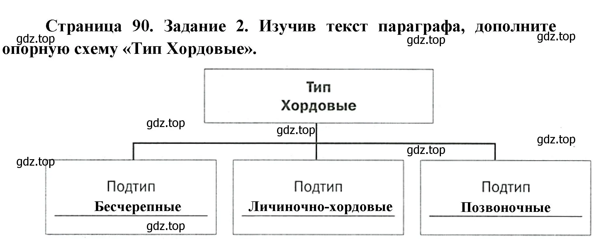 Решение номер 2 (страница 90) гдз по биологии 8 класс Суматохин, Пасечник, рабочая тетрадь