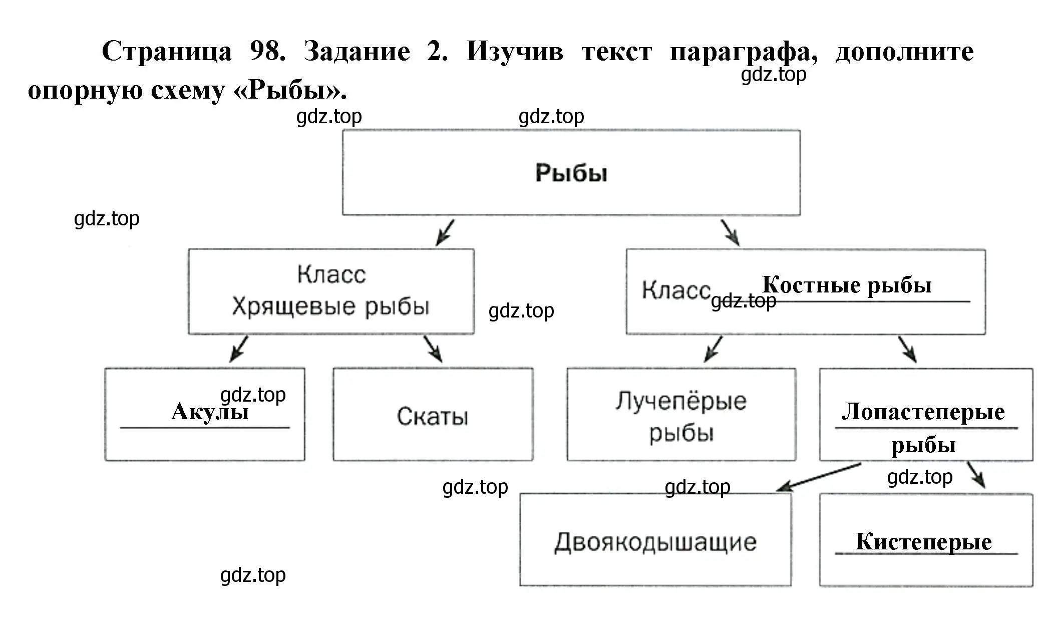 Решение номер 2 (страница 98) гдз по биологии 8 класс Суматохин, Пасечник, рабочая тетрадь