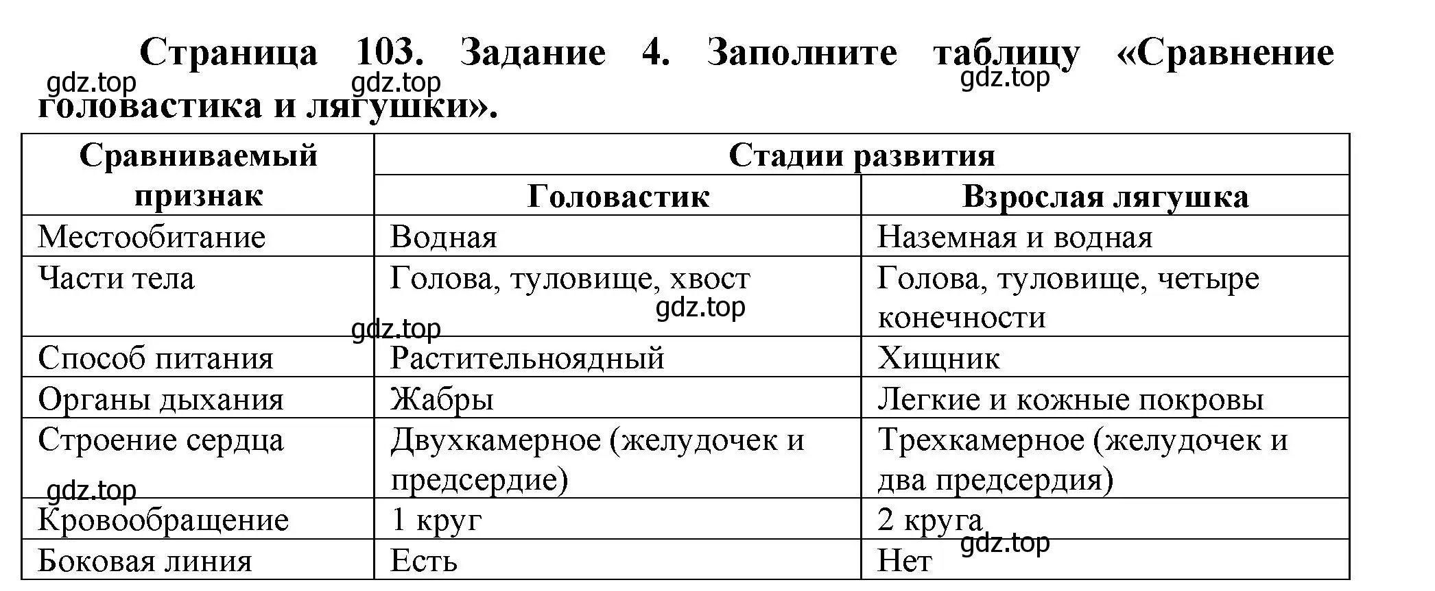 Решение номер 4 (страница 103) гдз по биологии 8 класс Суматохин, Пасечник, рабочая тетрадь