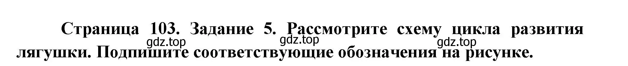 Решение номер 5 (страница 103) гдз по биологии 8 класс Суматохин, Пасечник, рабочая тетрадь