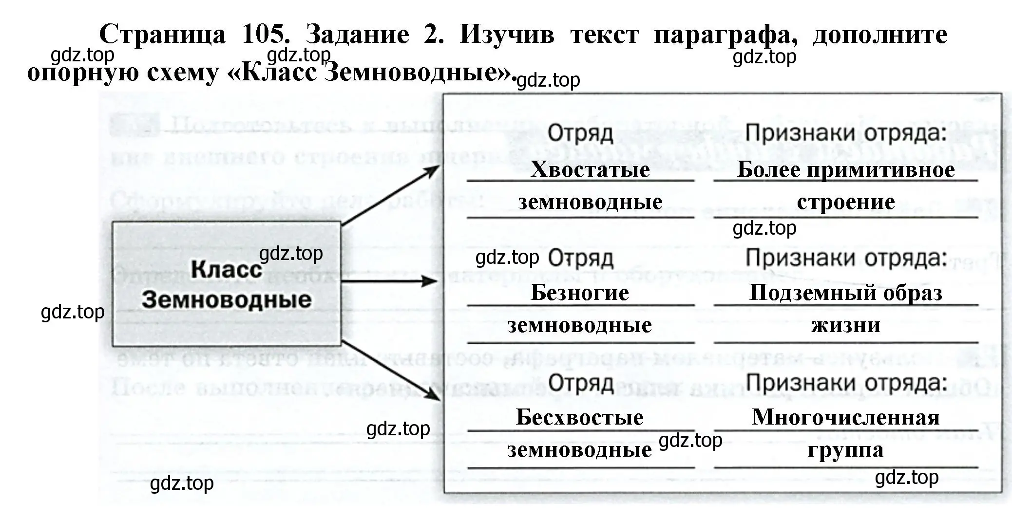 Решение номер 2 (страница 105) гдз по биологии 8 класс Суматохин, Пасечник, рабочая тетрадь