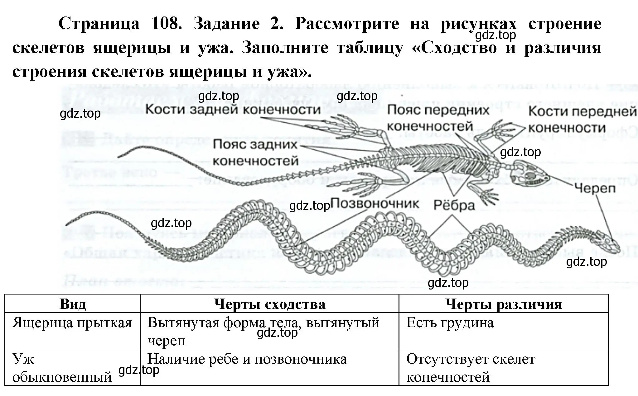 Решение номер 2 (страница 108) гдз по биологии 8 класс Суматохин, Пасечник, рабочая тетрадь