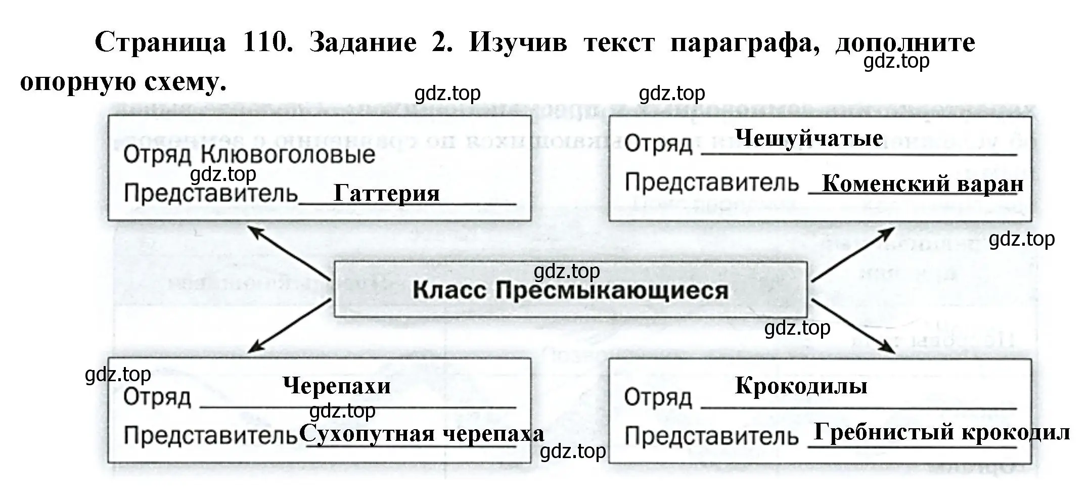 Решение номер 2 (страница 110) гдз по биологии 8 класс Суматохин, Пасечник, рабочая тетрадь