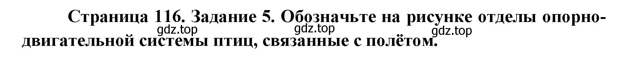 Решение номер 5 (страница 116) гдз по биологии 8 класс Суматохин, Пасечник, рабочая тетрадь