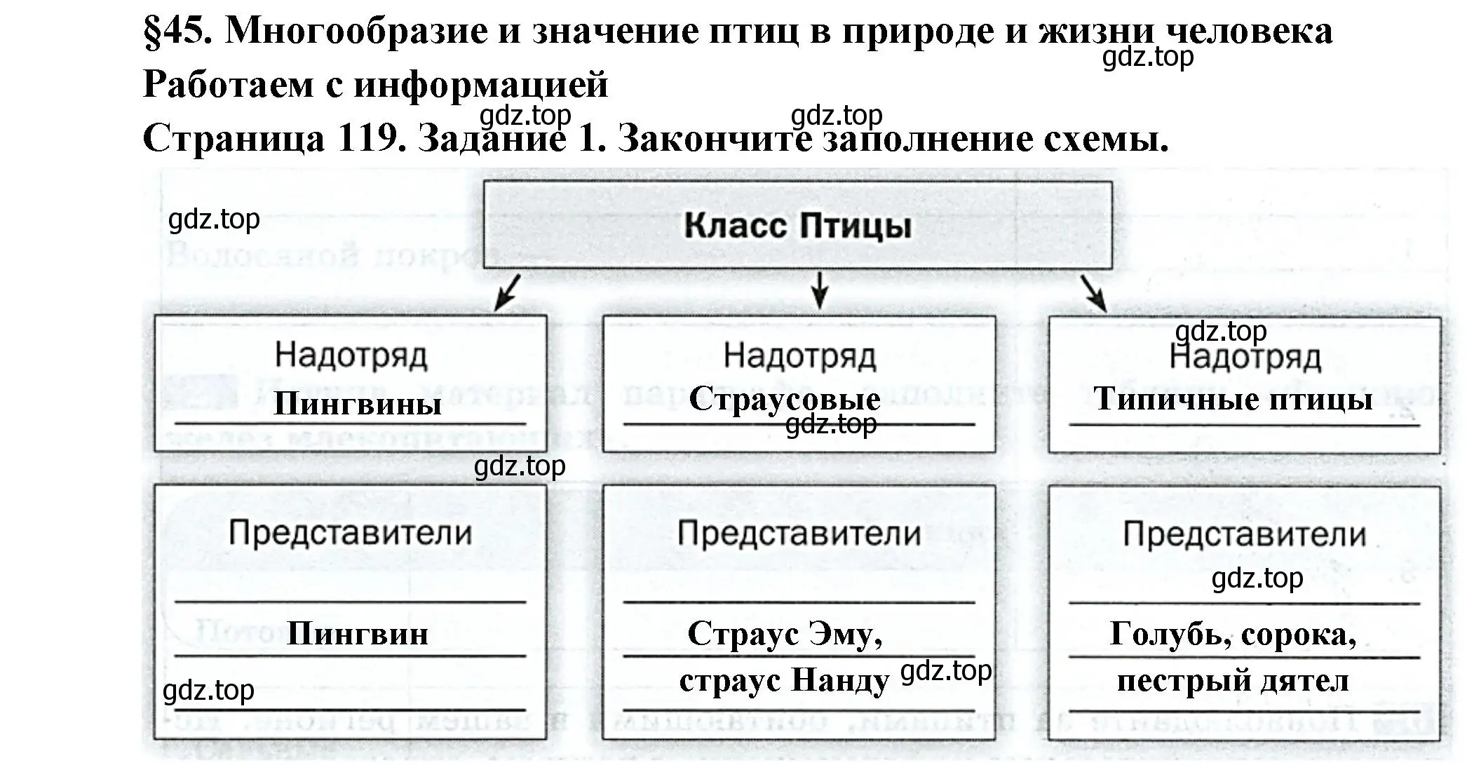 Решение номер 1 (страница 119) гдз по биологии 8 класс Суматохин, Пасечник, рабочая тетрадь