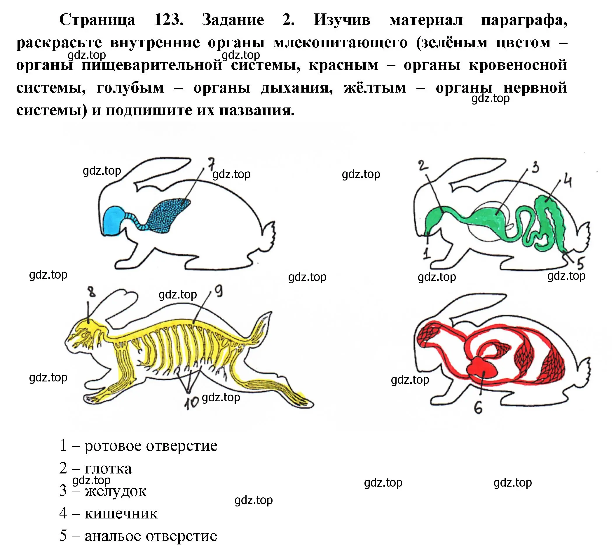 Решение номер 2 (страница 123) гдз по биологии 8 класс Суматохин, Пасечник, рабочая тетрадь