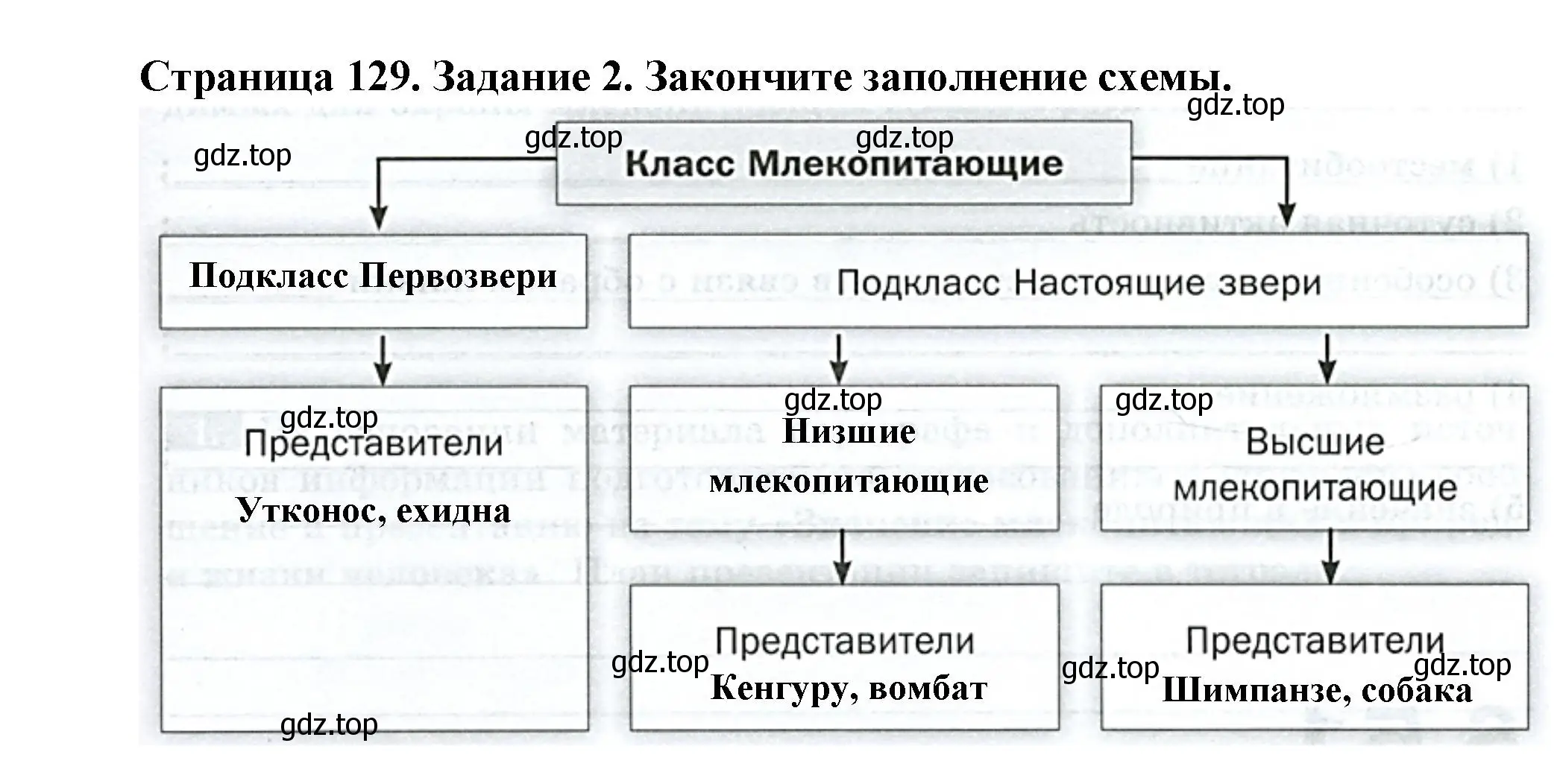 Решение номер 2 (страница 129) гдз по биологии 8 класс Суматохин, Пасечник, рабочая тетрадь