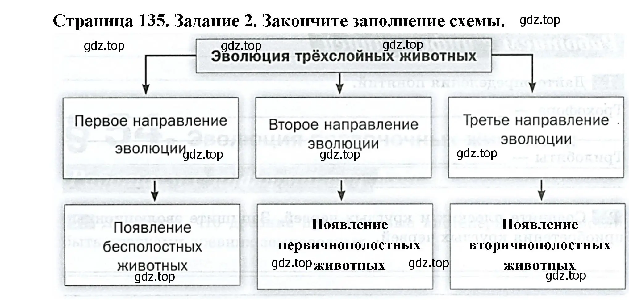 Решение номер 2 (страница 135) гдз по биологии 8 класс Суматохин, Пасечник, рабочая тетрадь