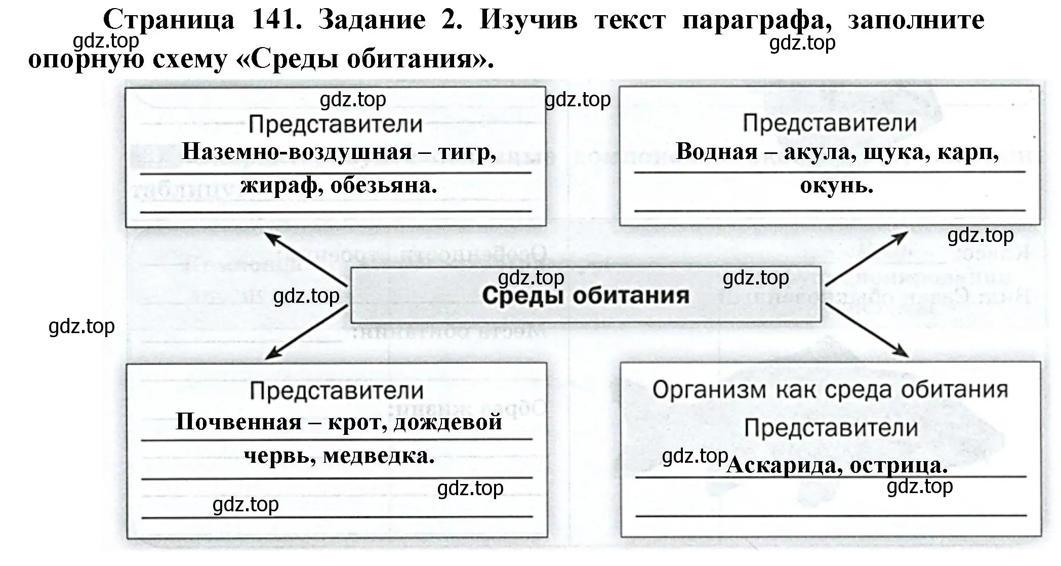 Решение номер 2 (страница 141) гдз по биологии 8 класс Суматохин, Пасечник, рабочая тетрадь