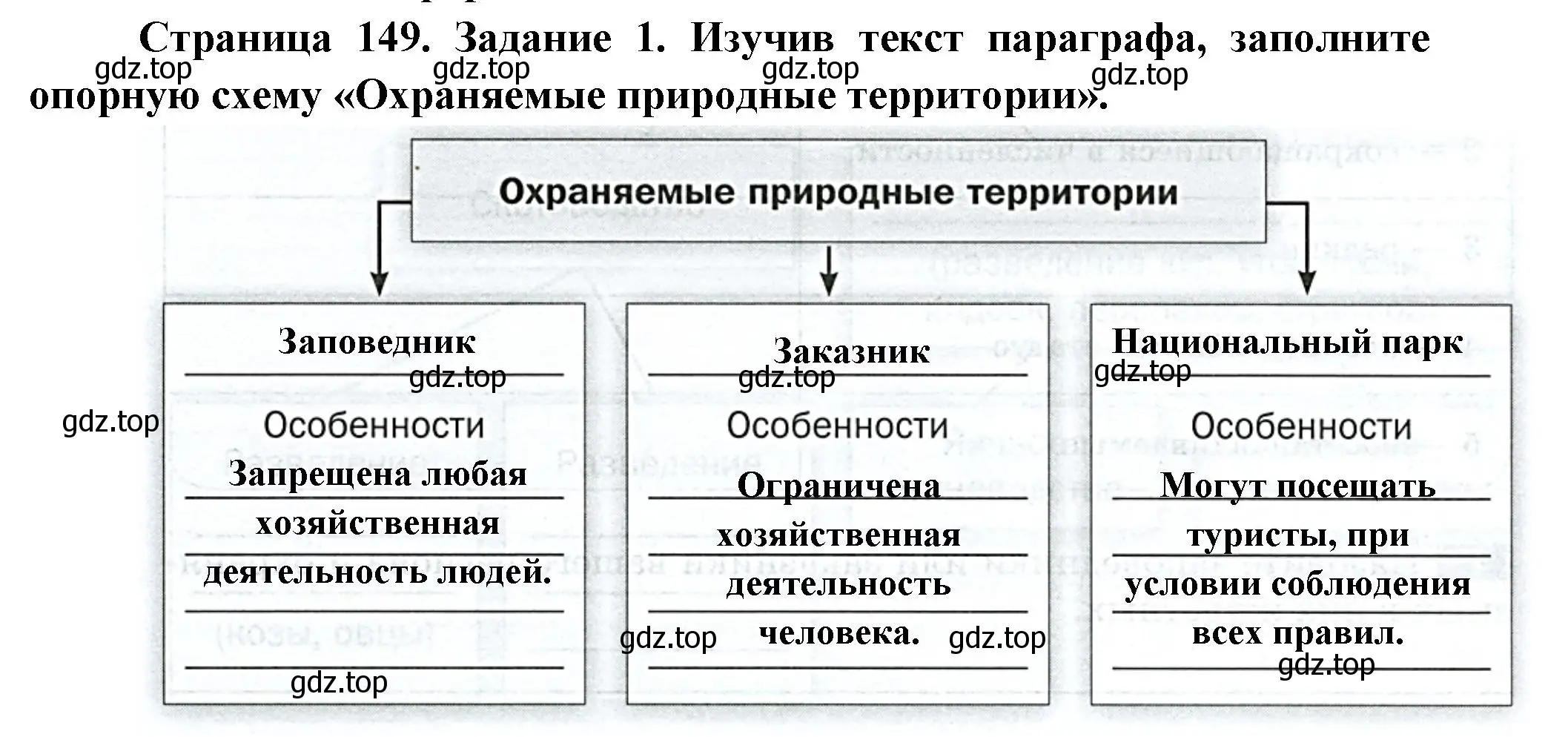 Решение номер 1 (страница 149) гдз по биологии 8 класс Суматохин, Пасечник, рабочая тетрадь