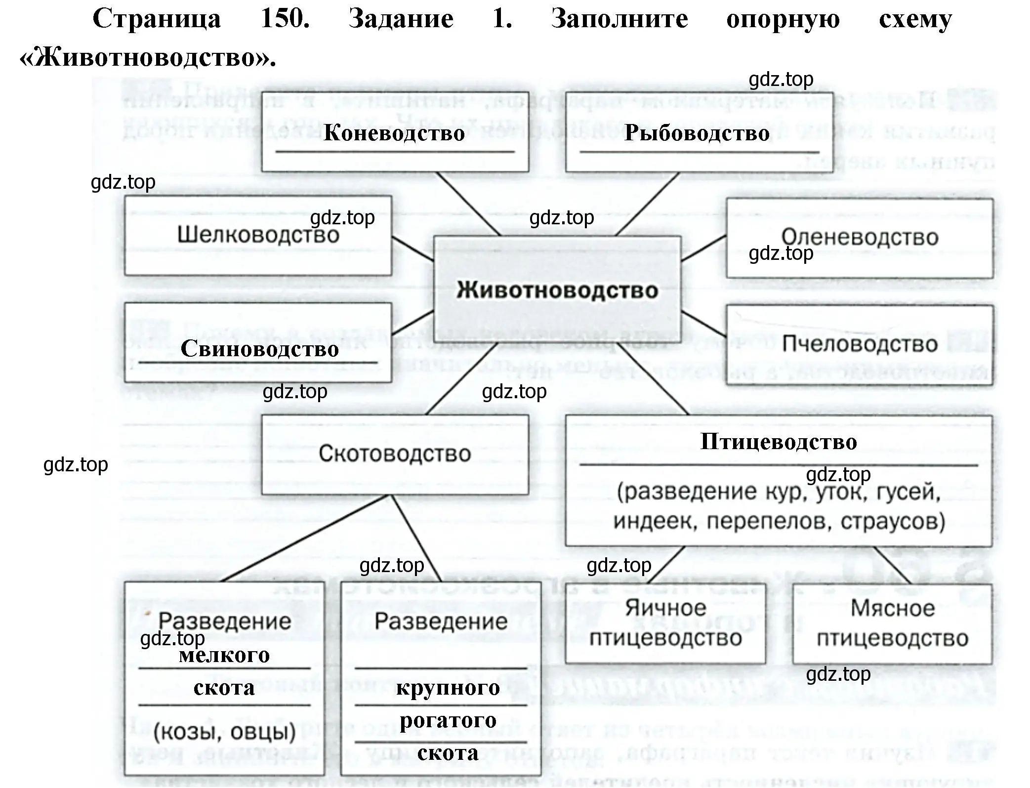 Решение номер 1 (страница 150) гдз по биологии 8 класс Суматохин, Пасечник, рабочая тетрадь