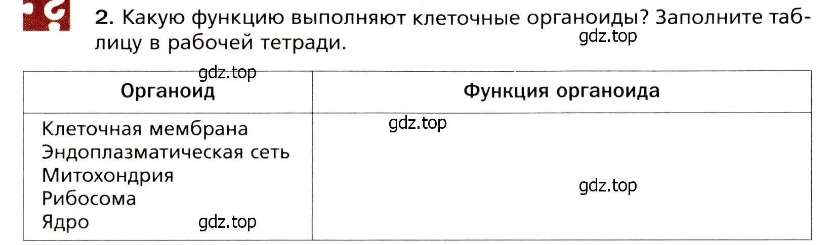 Условие номер 2 (страница 26) гдз по биологии 8 класс Драгомилов, Маш, учебник