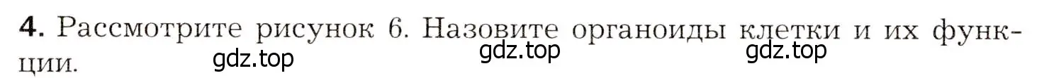 Условие номер 4 (страница 34) гдз по биологии 8 класс Драгомилов, Маш, учебник