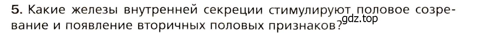 Условие номер 5 (страница 42) гдз по биологии 8 класс Драгомилов, Маш, учебник