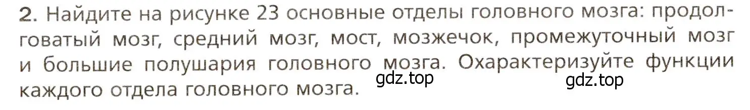 Условие номер 2 (страница 60) гдз по биологии 8 класс Драгомилов, Маш, учебник