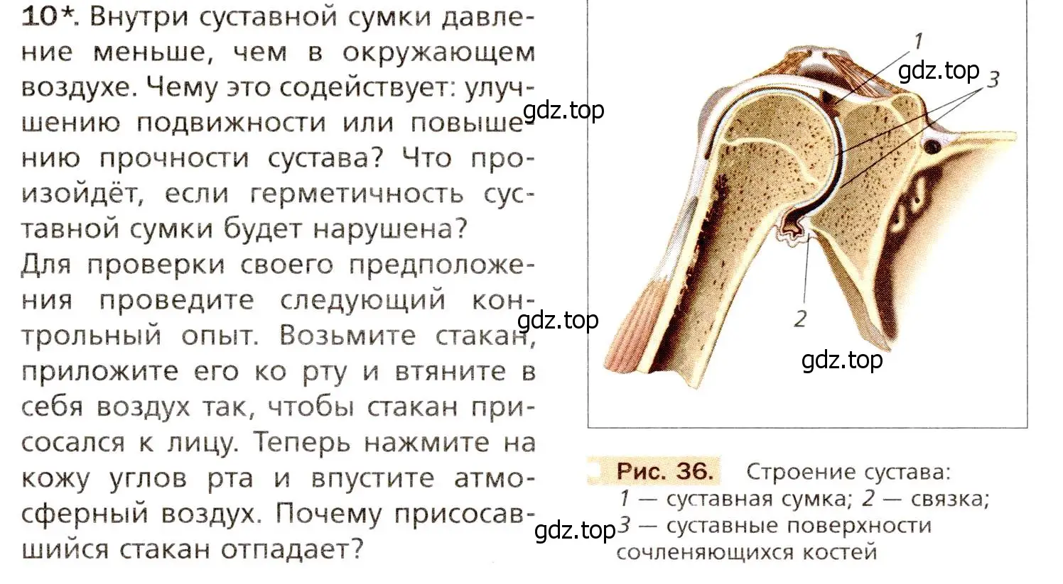 Условие номер 10 (страница 87) гдз по биологии 8 класс Драгомилов, Маш, учебник