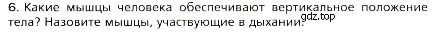 Условие номер 6 (страница 102) гдз по биологии 8 класс Драгомилов, Маш, учебник