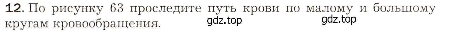 Условие номер 12 (страница 149) гдз по биологии 8 класс Драгомилов, Маш, учебник