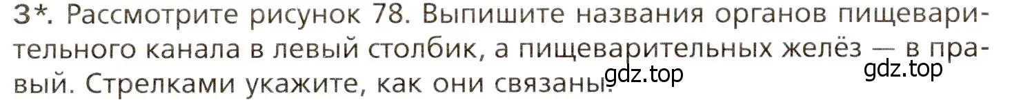 Условие номер 3 (страница 180) гдз по биологии 8 класс Драгомилов, Маш, учебник