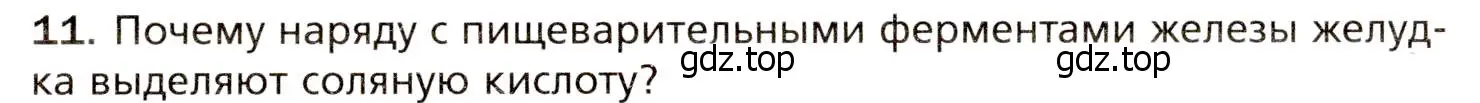 Условие номер 11 (страница 186) гдз по биологии 8 класс Драгомилов, Маш, учебник