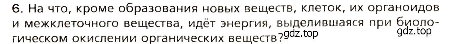 Условие номер 6 (страница 202) гдз по биологии 8 класс Драгомилов, Маш, учебник