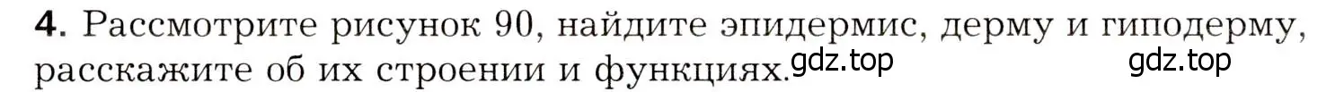 Условие номер 4 (страница 228) гдз по биологии 8 класс Драгомилов, Маш, учебник