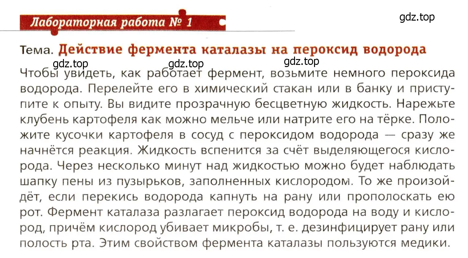 Условие  Лабораторная работа №1 (страница 24) гдз по биологии 8 класс Драгомилов, Маш, учебник