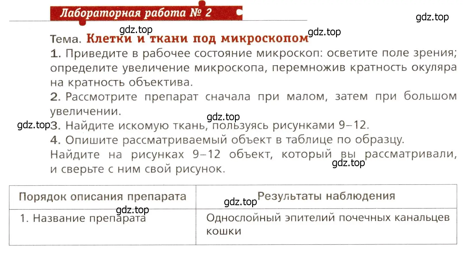 Условие  Лабораторная работа №2 (страница 29) гдз по биологии 8 класс Драгомилов, Маш, учебник