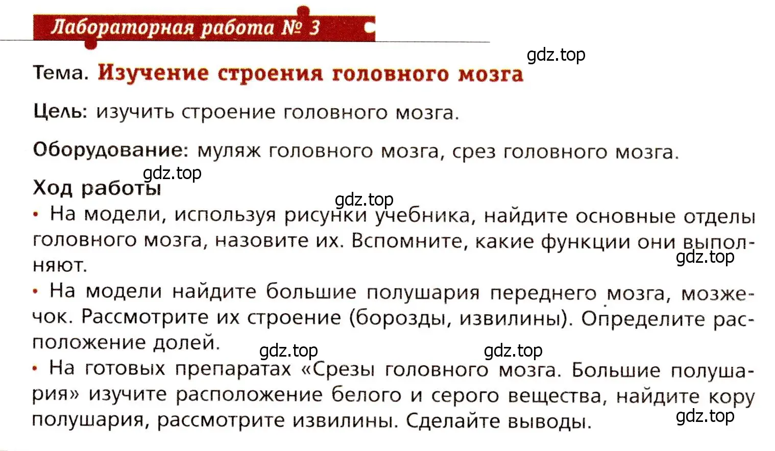 Условие  Лабораторная работа №3 (страница 59) гдз по биологии 8 класс Драгомилов, Маш, учебник