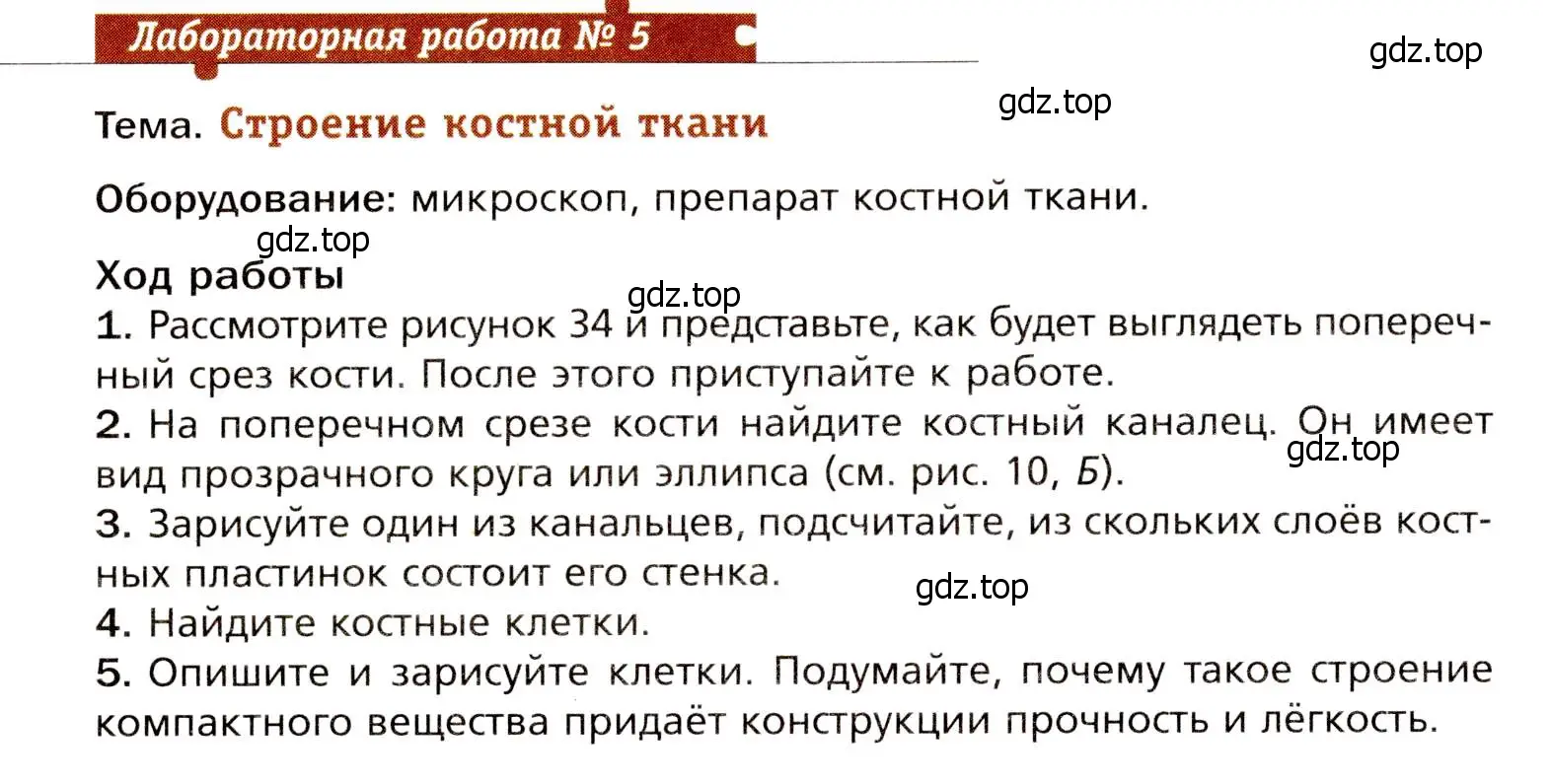 Условие  Лабораторная работа №5 (страница 84) гдз по биологии 8 класс Драгомилов, Маш, учебник