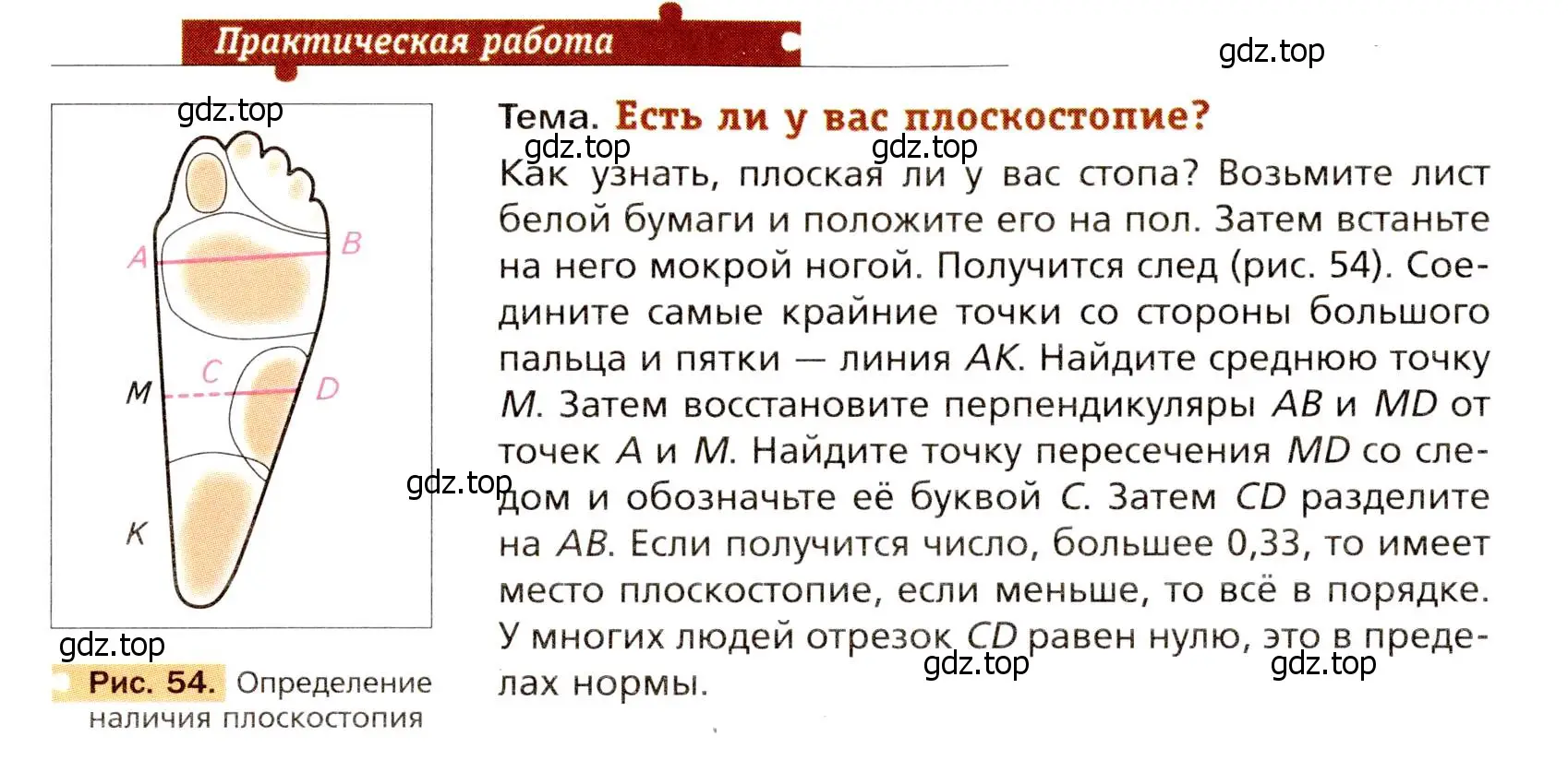 Условие  Практическая работа (страница 110) гдз по биологии 8 класс Драгомилов, Маш, учебник