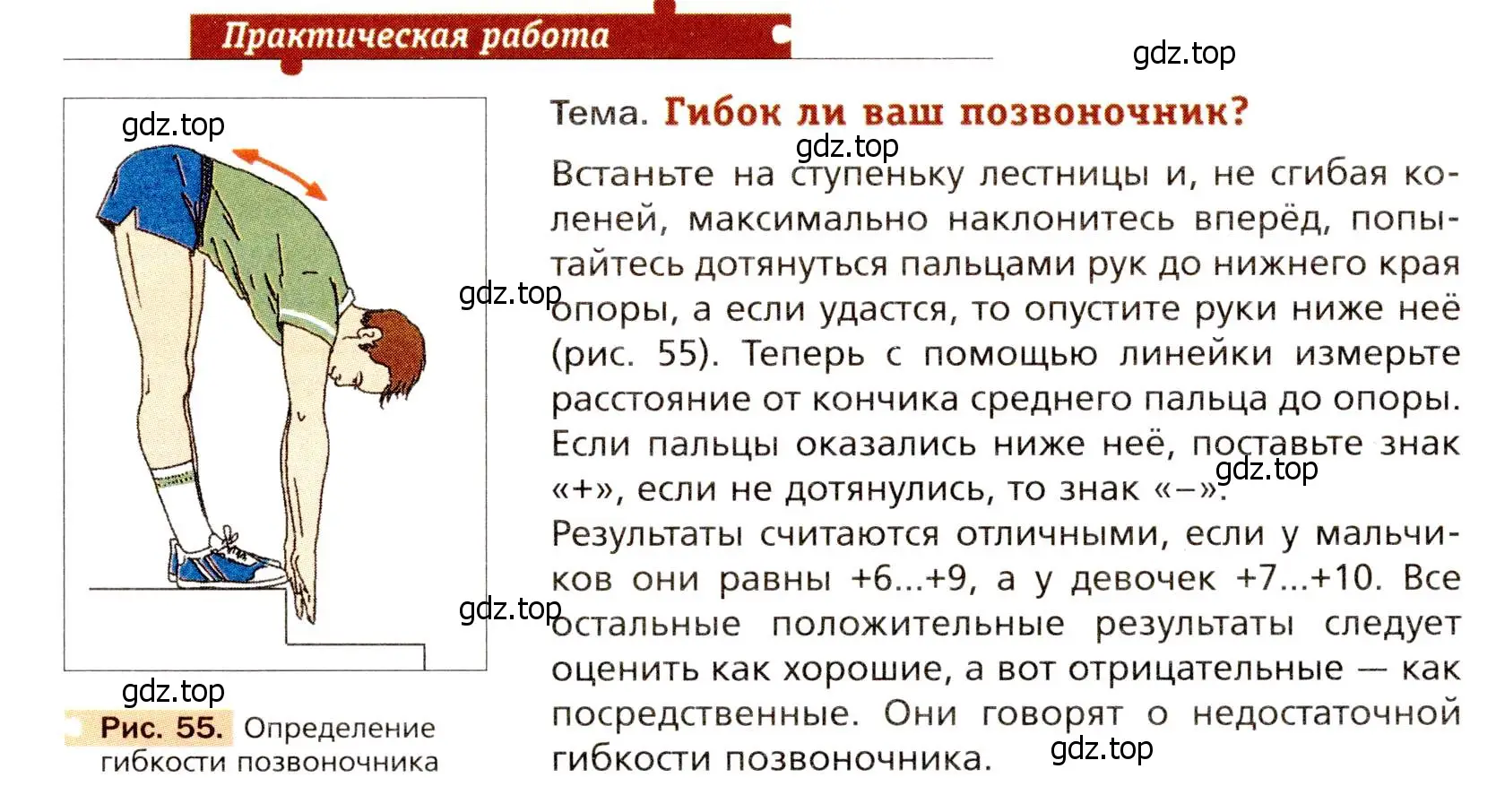 Условие  Практическая работа (страница 110) гдз по биологии 8 класс Драгомилов, Маш, учебник