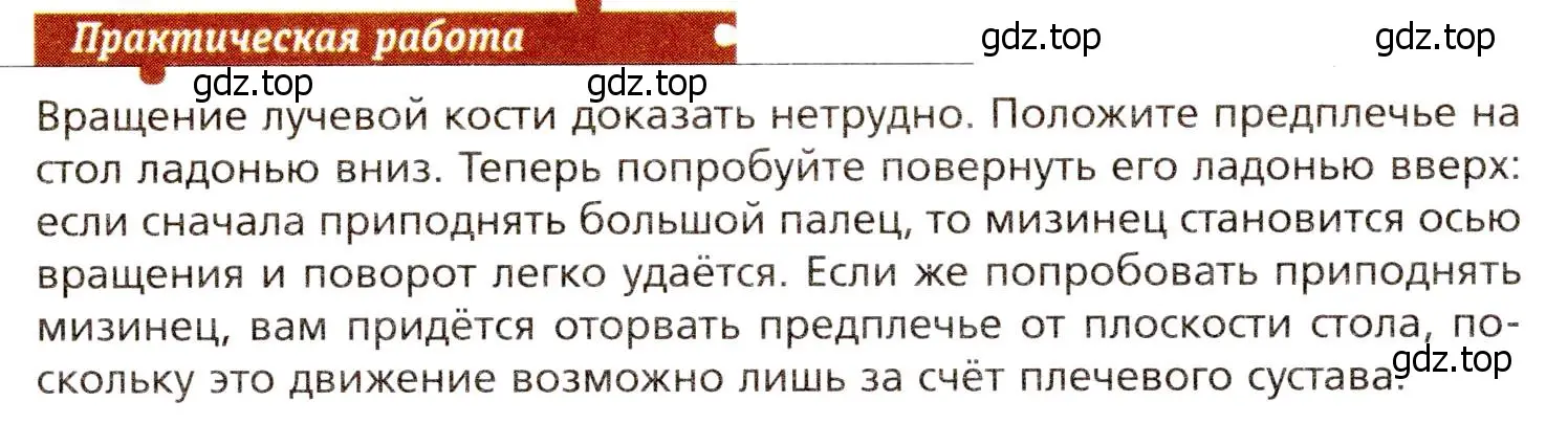 Условие  Практическая работа (страница 94) гдз по биологии 8 класс Драгомилов, Маш, учебник