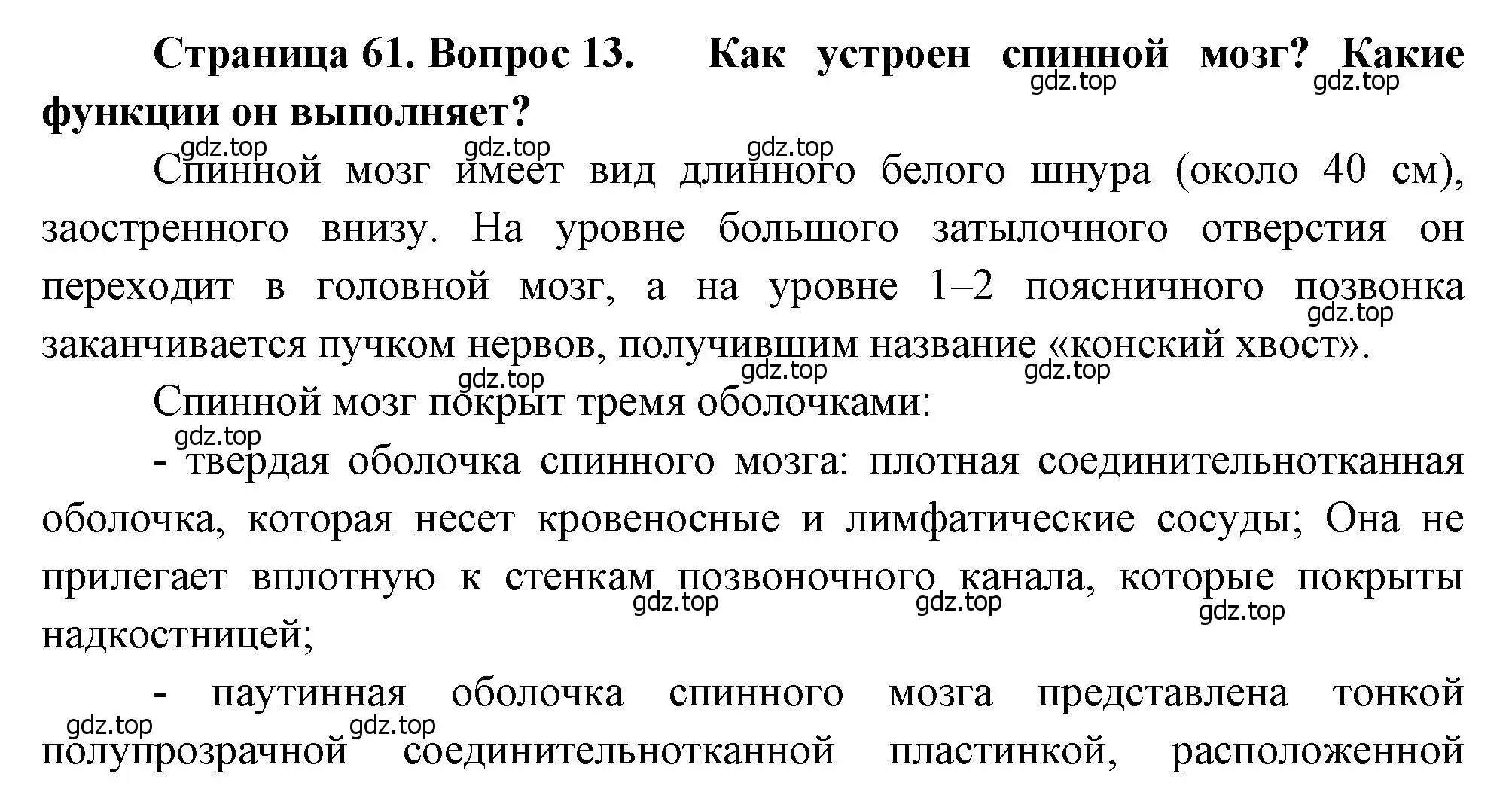 Решение номер 13 (страница 61) гдз по биологии 8 класс Драгомилов, Маш, учебник