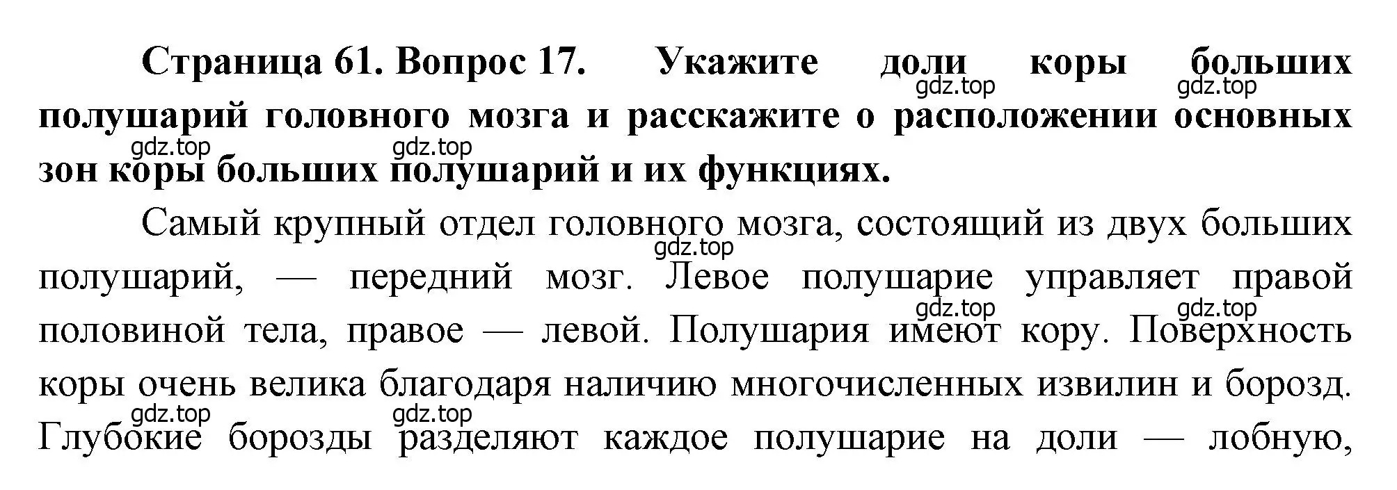 Решение номер 17 (страница 61) гдз по биологии 8 класс Драгомилов, Маш, учебник