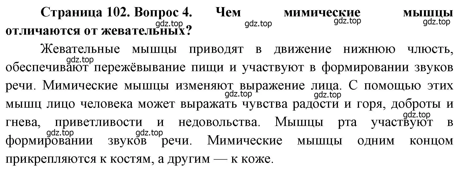 Решение номер 4 (страница 102) гдз по биологии 8 класс Драгомилов, Маш, учебник