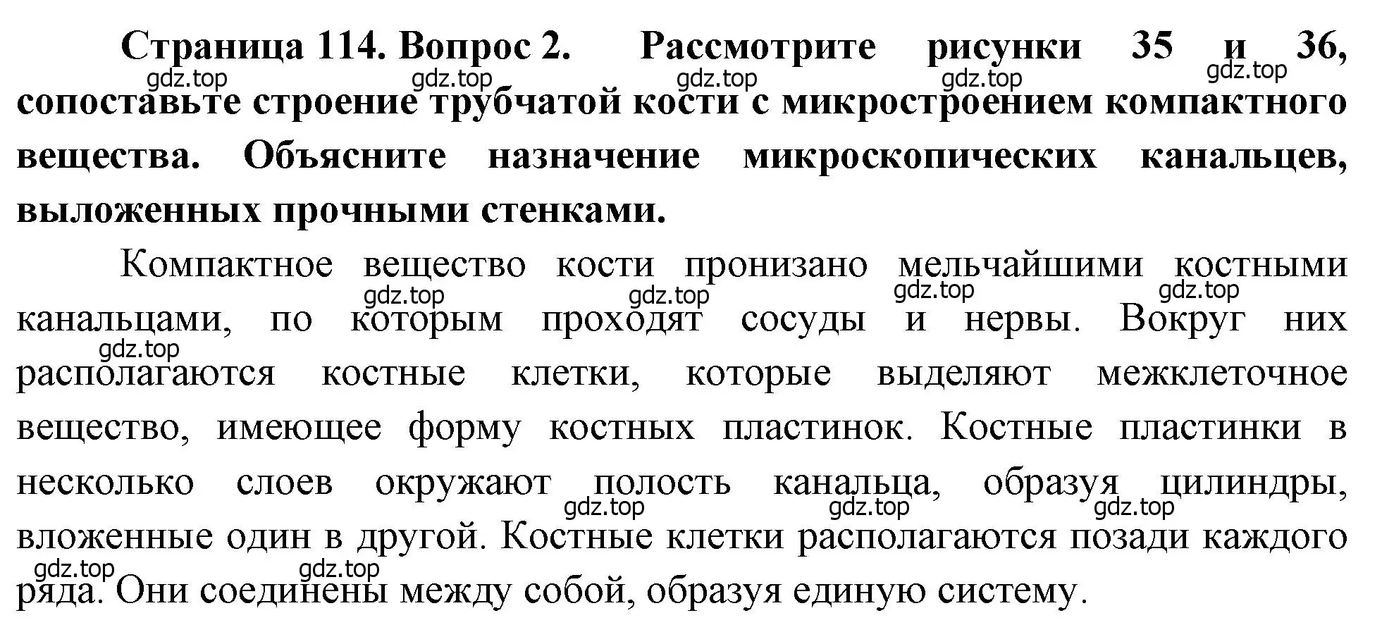 Решение номер 2 (страница 114) гдз по биологии 8 класс Драгомилов, Маш, учебник