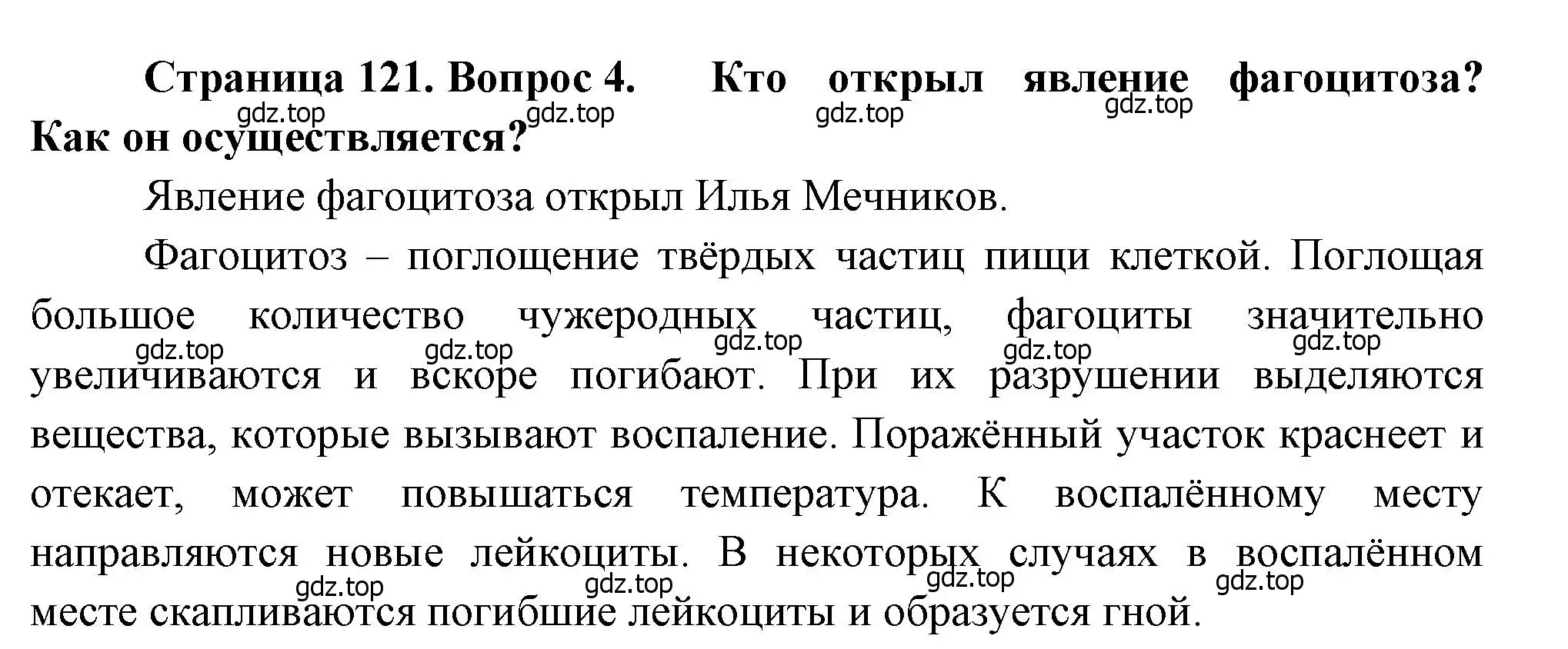 Решение номер 4 (страница 121) гдз по биологии 8 класс Драгомилов, Маш, учебник