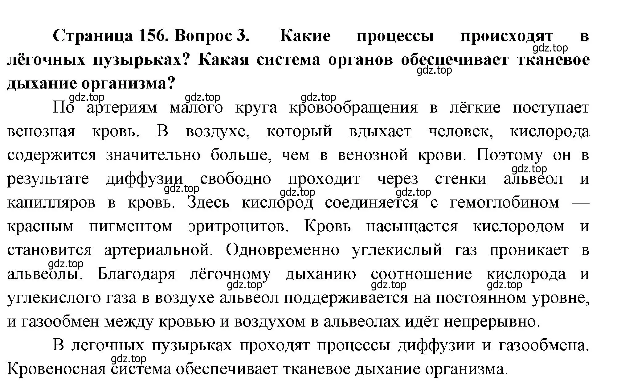 Решение номер 3 (страница 156) гдз по биологии 8 класс Драгомилов, Маш, учебник