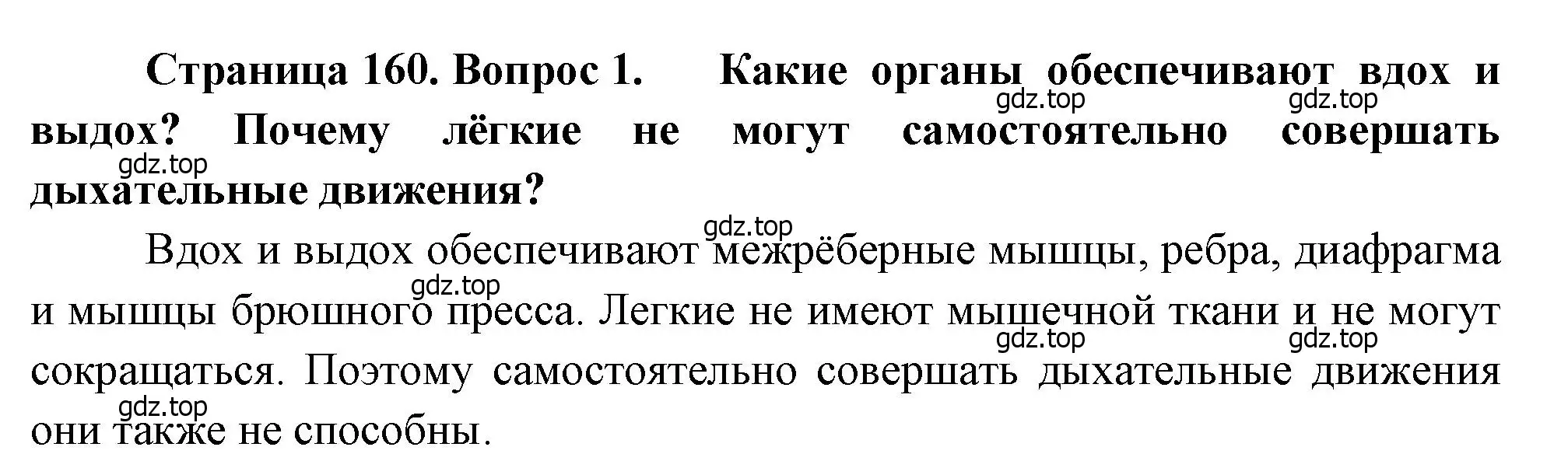 Решение номер 1 (страница 160) гдз по биологии 8 класс Драгомилов, Маш, учебник