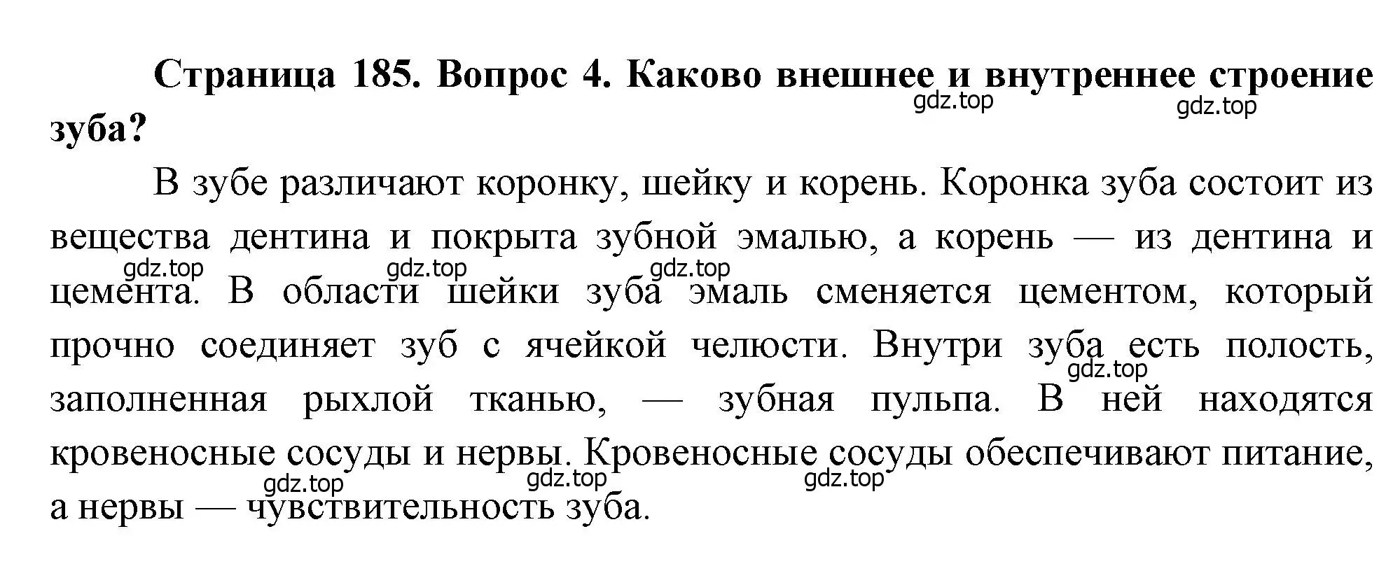 Решение номер 4 (страница 185) гдз по биологии 8 класс Драгомилов, Маш, учебник