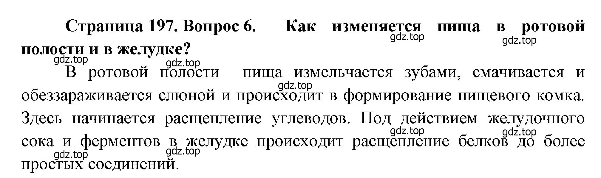 Решение номер 6 (страница 197) гдз по биологии 8 класс Драгомилов, Маш, учебник