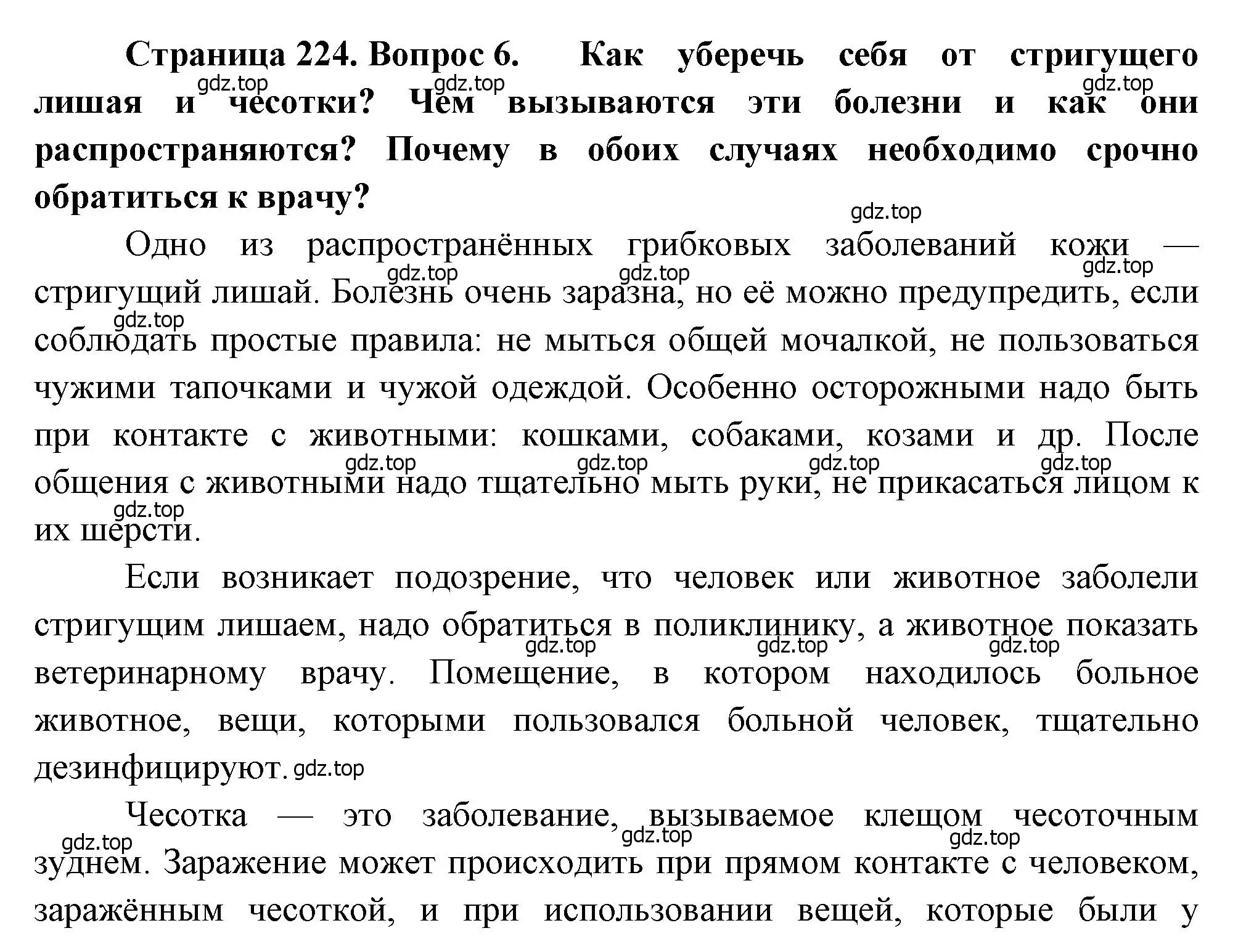 Решение номер 6 (страница 224) гдз по биологии 8 класс Драгомилов, Маш, учебник