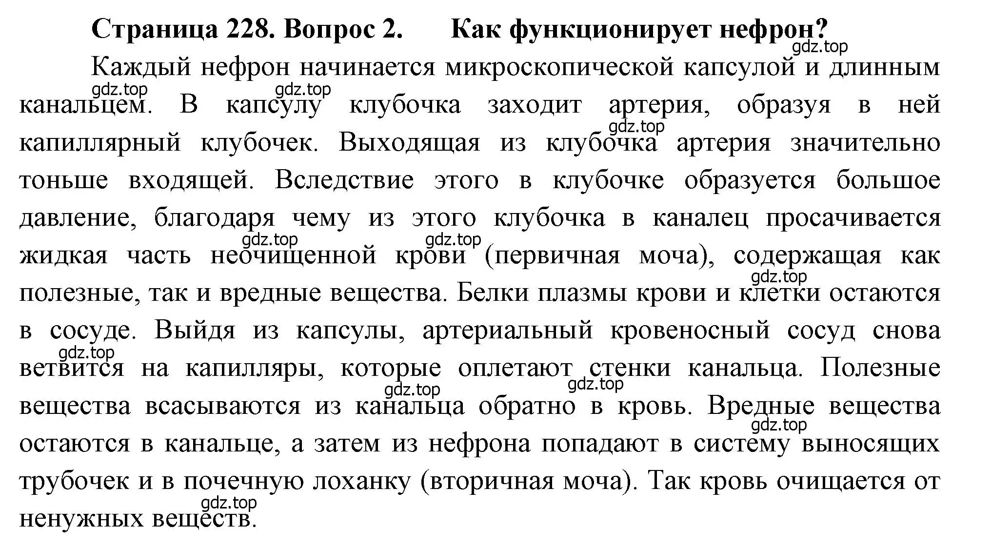 Решение номер 2 (страница 228) гдз по биологии 8 класс Драгомилов, Маш, учебник