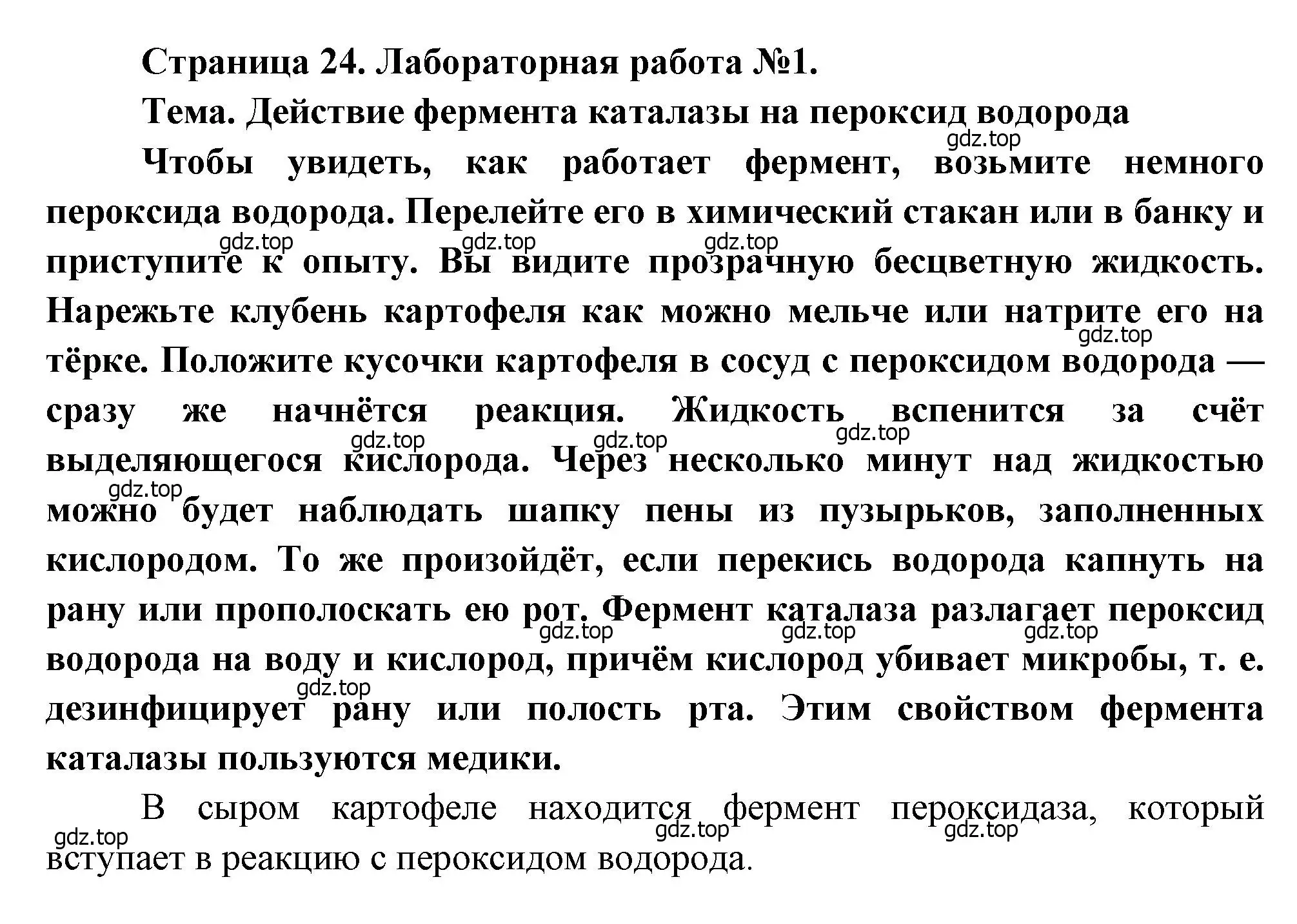 Решение  Лабораторная работа №1 (страница 24) гдз по биологии 8 класс Драгомилов, Маш, учебник