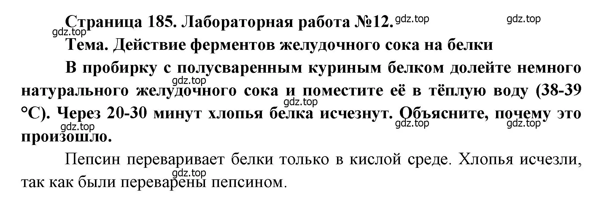 Решение  Лабораторная работа №12 (страница 185) гдз по биологии 8 класс Драгомилов, Маш, учебник