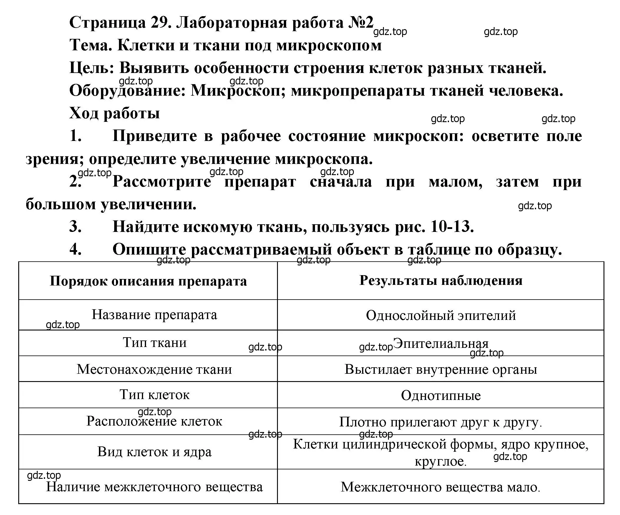 Решение  Лабораторная работа №2 (страница 29) гдз по биологии 8 класс Драгомилов, Маш, учебник