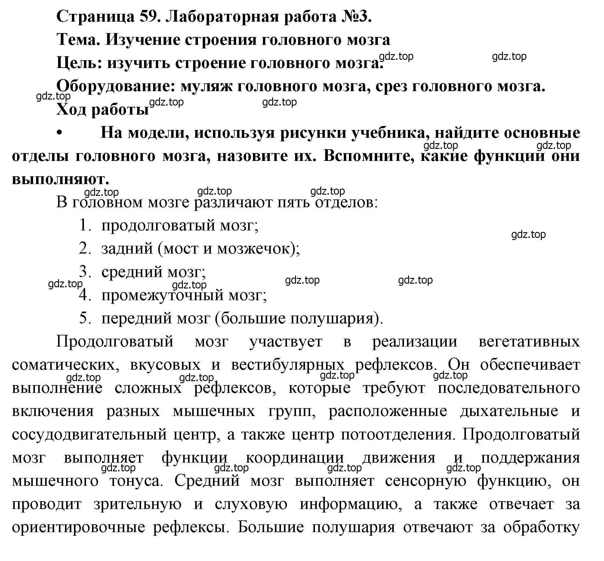 Решение  Лабораторная работа №3 (страница 59) гдз по биологии 8 класс Драгомилов, Маш, учебник